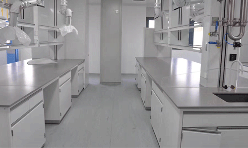 �쌎ĳ��У��(sh��)�(y��n)��